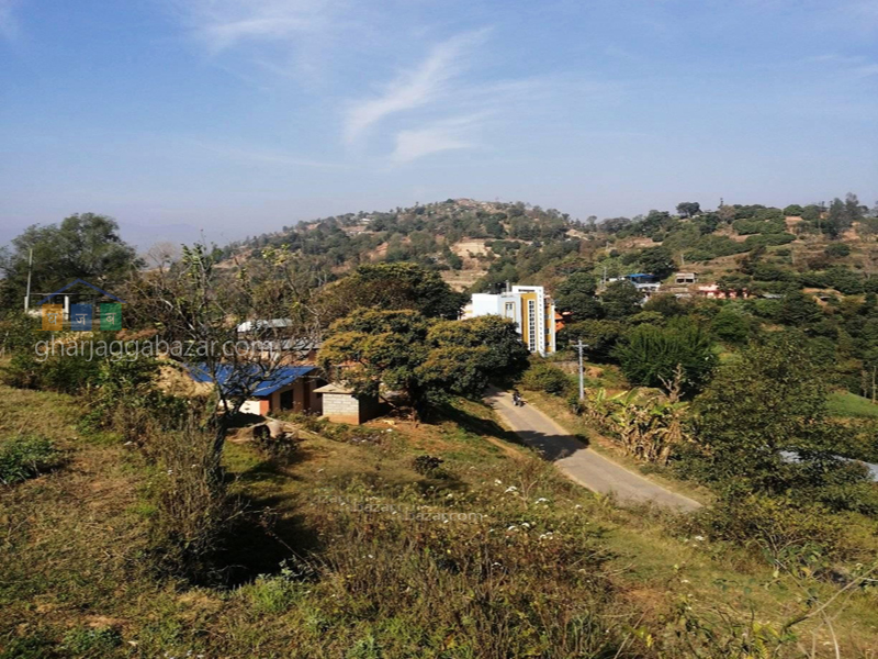 Land on Sale at Jeewanpur Dhunibeshi 